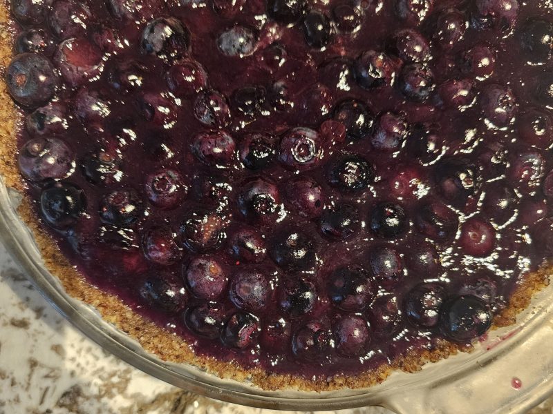 Fresh and Tasty Blueberry Pie